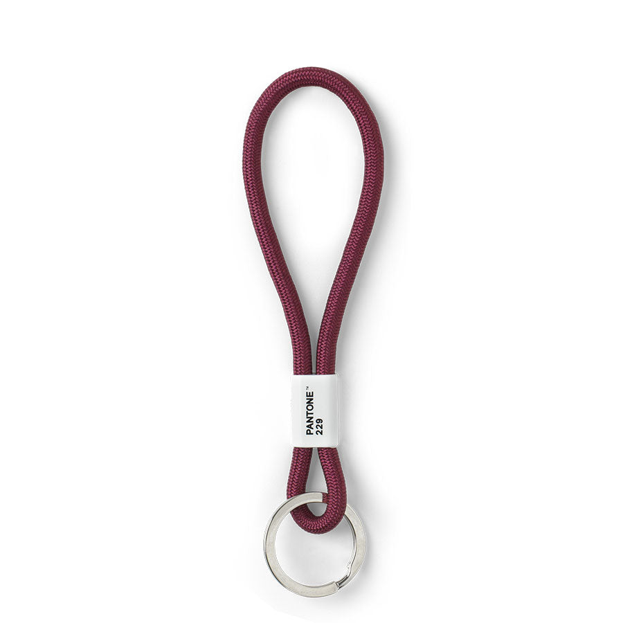 PANTONE KEY CHAIN SHORT - Aubergine 229