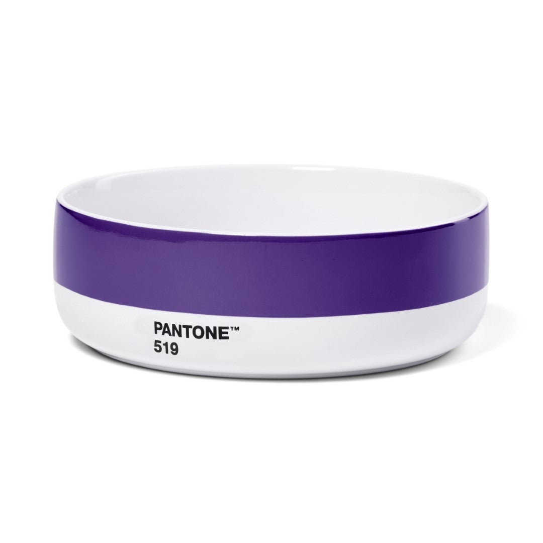 PANTONE BOWL - Violet 519