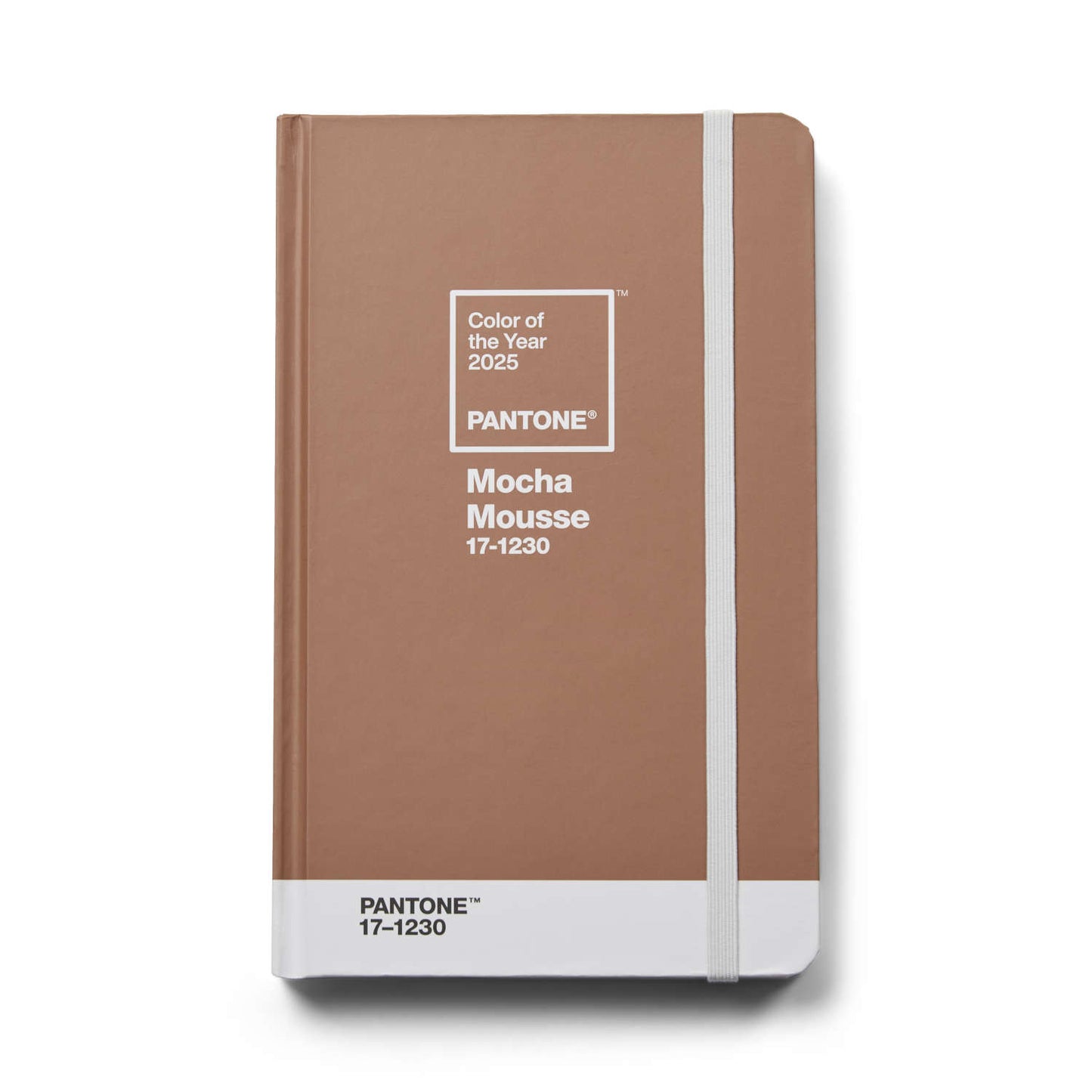 PANTONE NOTEBOOK - Mocha Mousse - COY25 Lined Pages
