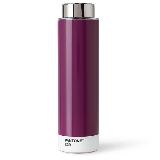 PANTONE DRINKING BOTTLE TRITAN - Aubergine 229