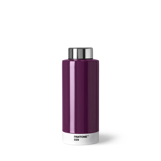 PANTONE THERMO DRINKING BOTTLE - Aubagine 229