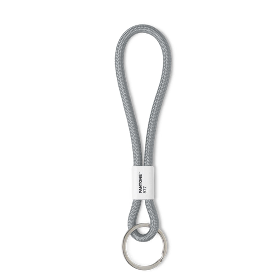 PANTONE KEY CHAIN SHORT - Silver 877 C
