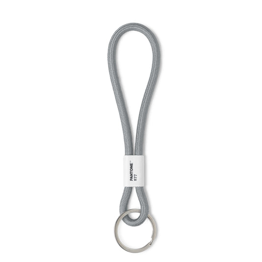 PANTONE KEY CHAIN SHORT - Silver 877 C