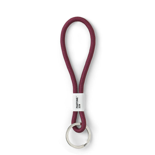 PANTONE KEY CHAIN SHORT - Aubergine 229