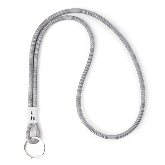 PANTONE KEY CHAIN LONG - Silver 877 C