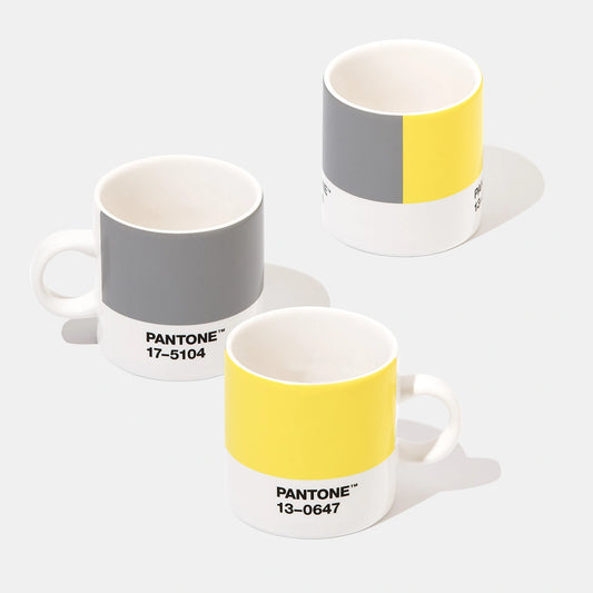 PANTONE ESPRESSO CUP – Illuminating 13-0647 & Ultimate Gray 17-5104 COY21