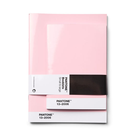 PANTONE BOOKLETS SET OF 2 Dotted - Light Pink 13-2006
