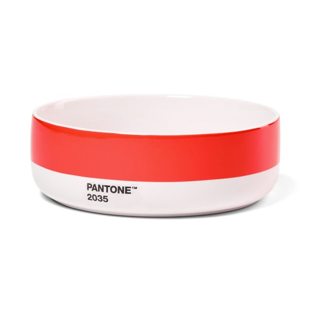 PANTONE BOWL - Red 2035