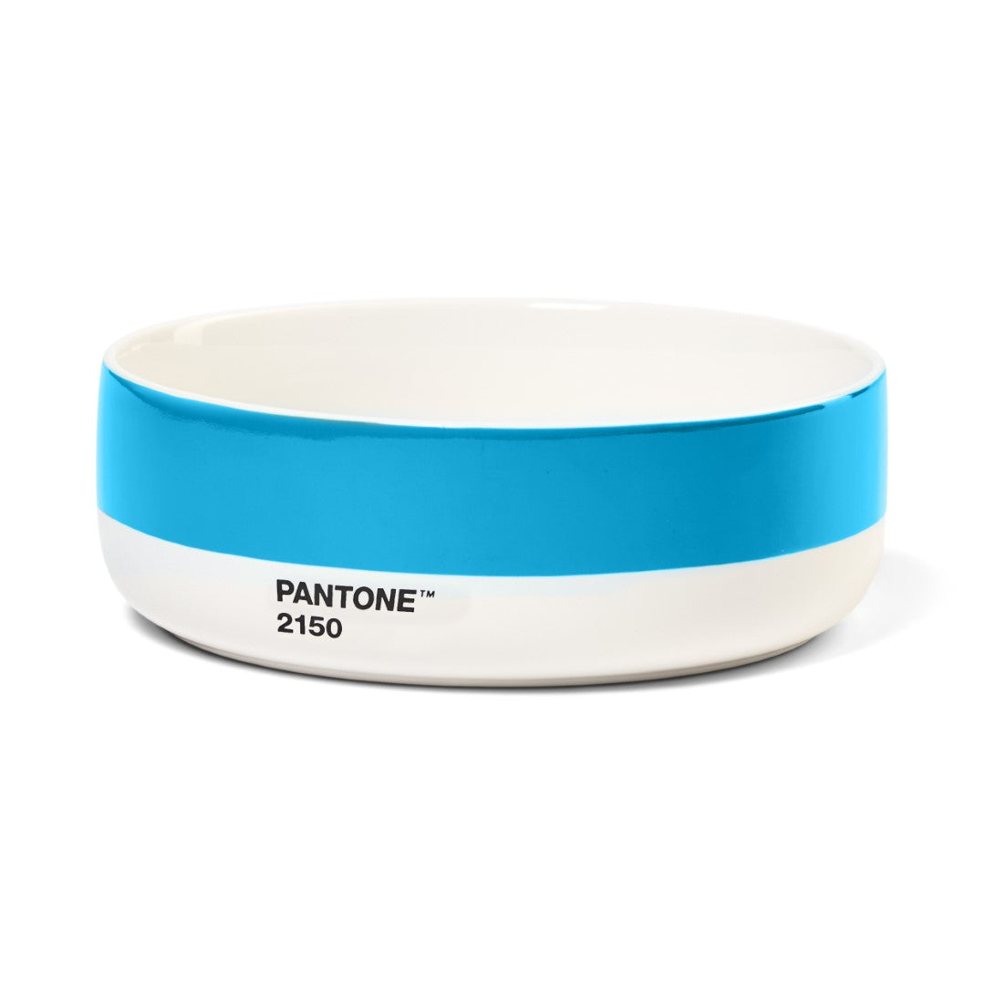 PANTONE BOWL - Blue 2150