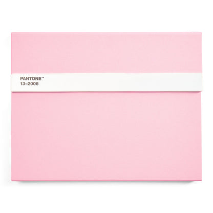PANTONE NEW NOTEBOOK WITH PENCIL /Lined - Light Pink 13-2006