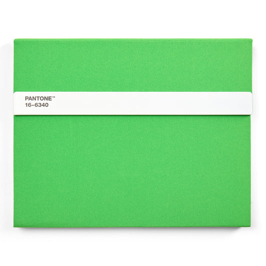 PANTONE NEW NOTEBOOK WITH PENCIL /Lined - Green 16-6340