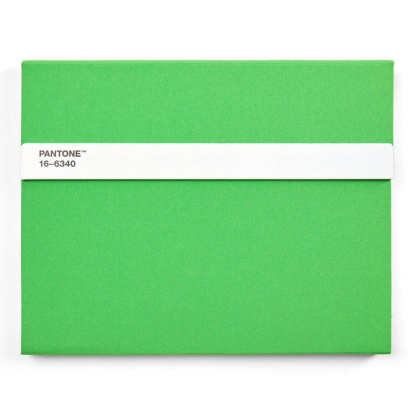 PANTONE NEW NOTEBOOK WITH PENCIL /unlined - Green 16-6340