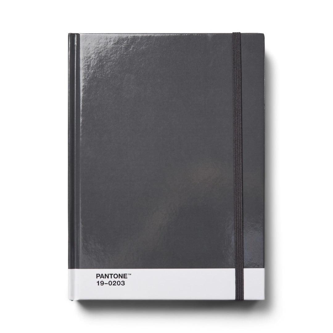 PANTONE NOTEBOOK LARGE DOTTED - Grey 19-0203