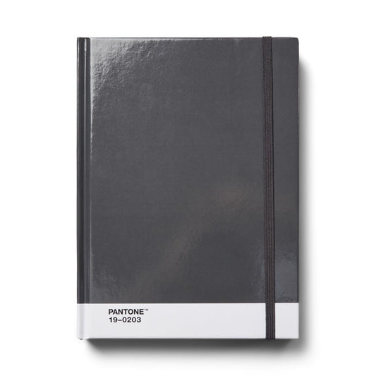 PANTONE NOTEBOOK LARGE DOTTED - Grey 19-0203