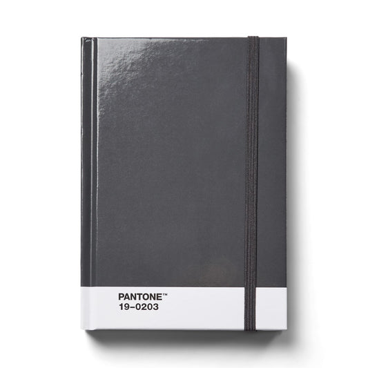 PANTONE NOTEBOOK SMALL DOTTED - Grey 19-0203