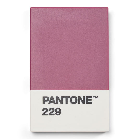 PANTONE CARD HOLDER IN MATTE - Aubergine 229