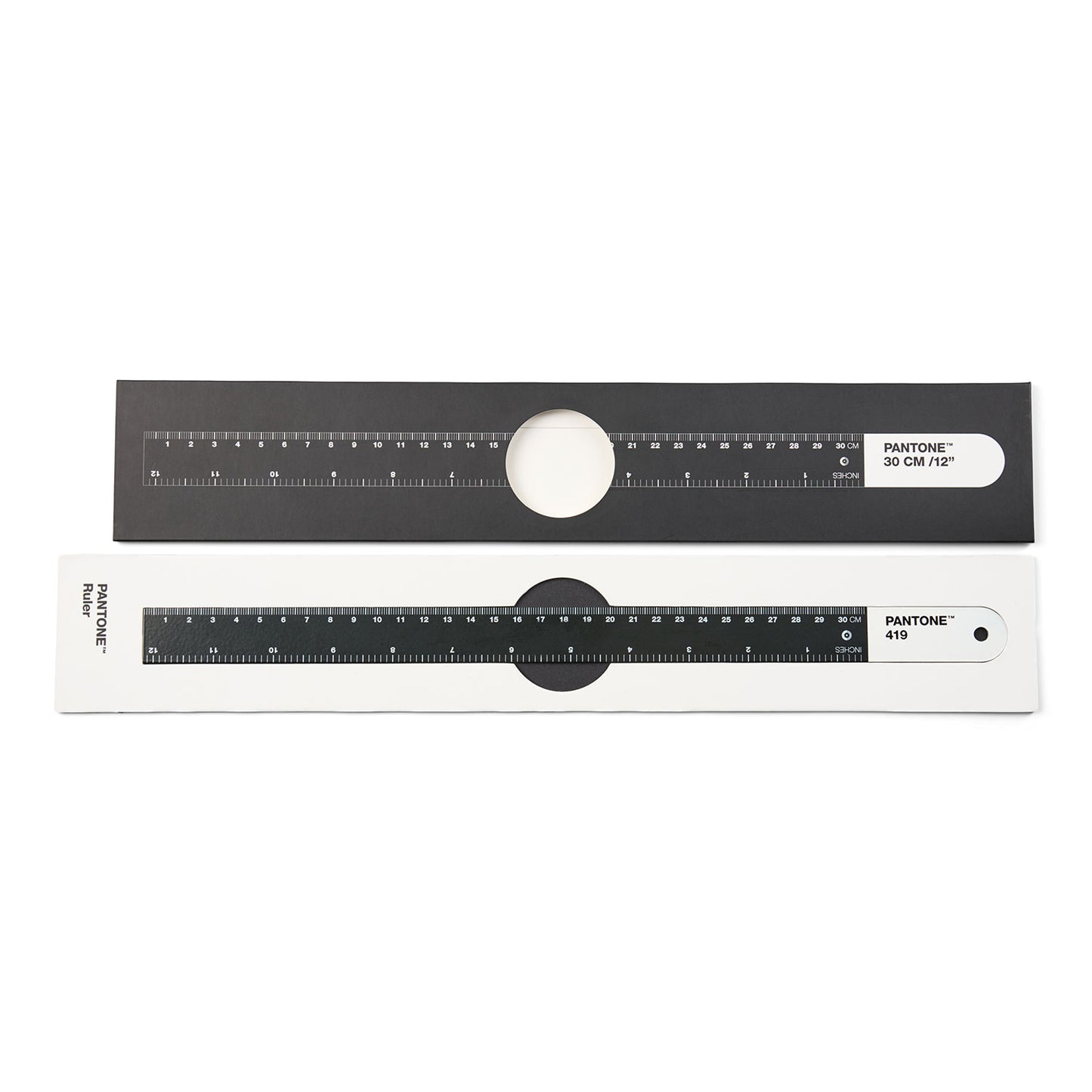 PANTONE RULER 30cm - Black 419