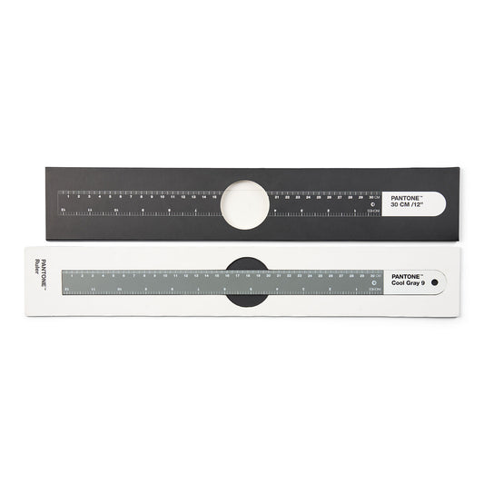 PANTONE RULER 30cm - Cool Gray 9 C