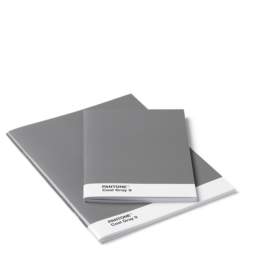 PANTONE BOOKLETS SET OF 2 Dotted - Grey 19-0203